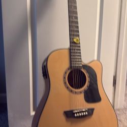 Washburn  Guitar 