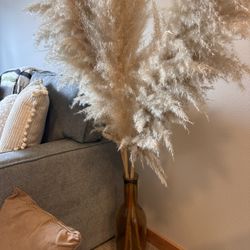 XL Real Natural Pampas Grass 