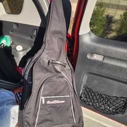 2 Guitar Bags