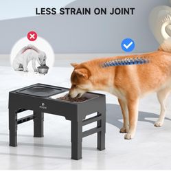New Elevated Pet Bowls