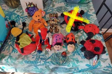 stuff animals