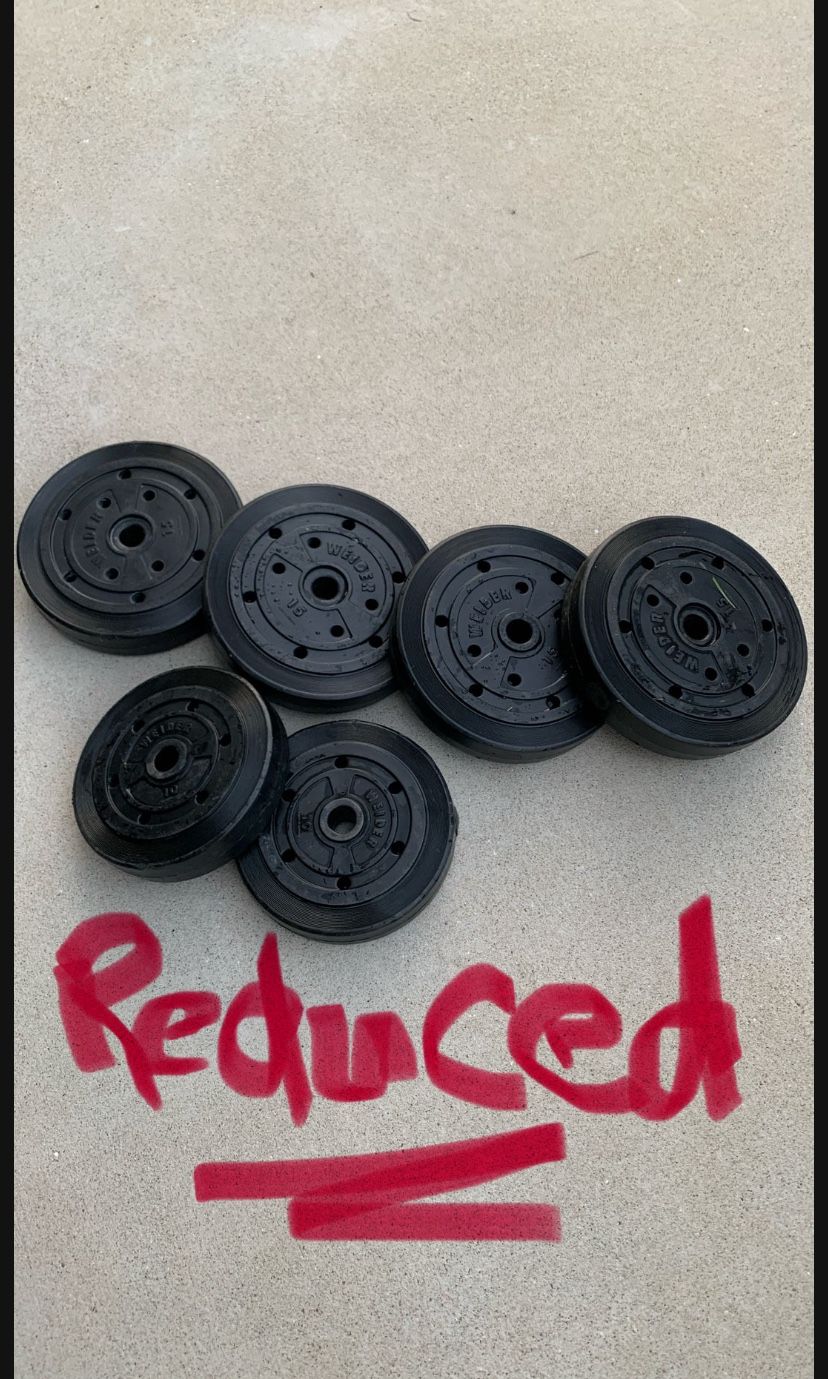 70 lbs Weider Weights