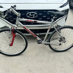 Raleigh Mountain Bike 