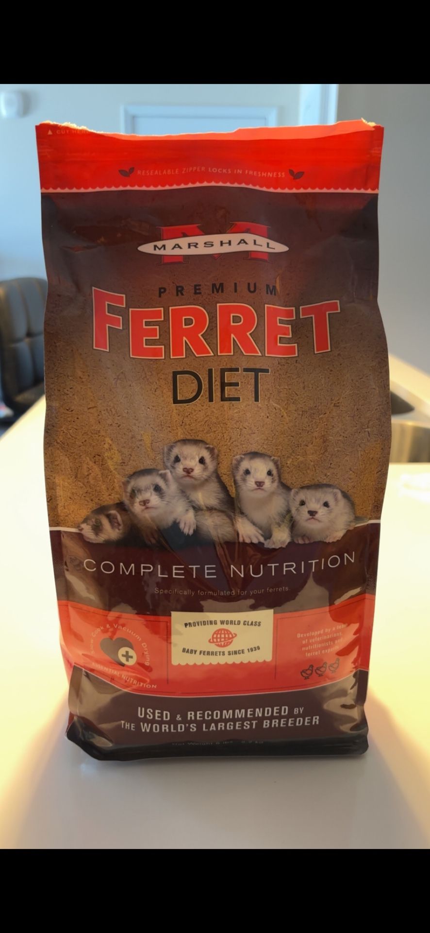 Ferret Food 