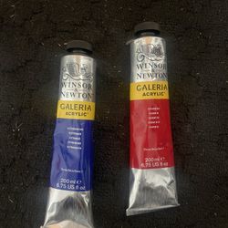 Winsor & Newton Gallery Acrylic Paint 
