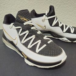 Nike Lebron Mens Size 12   $30