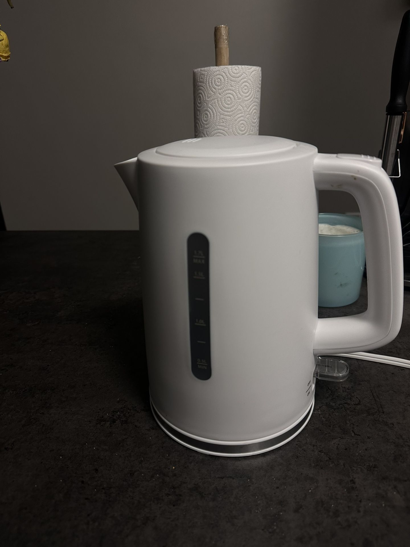 Electric Kettle