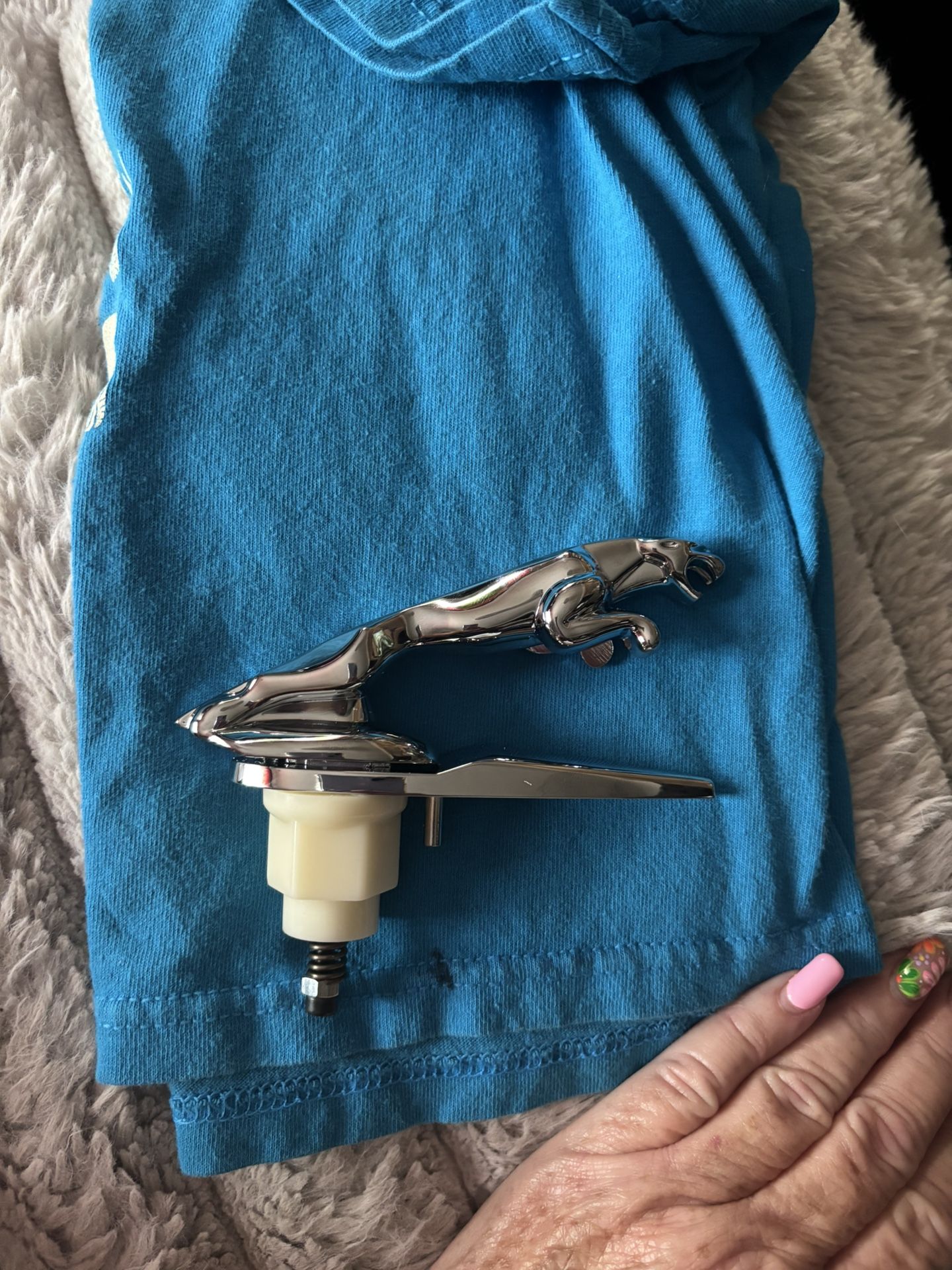 Jaguar Hood Leaper