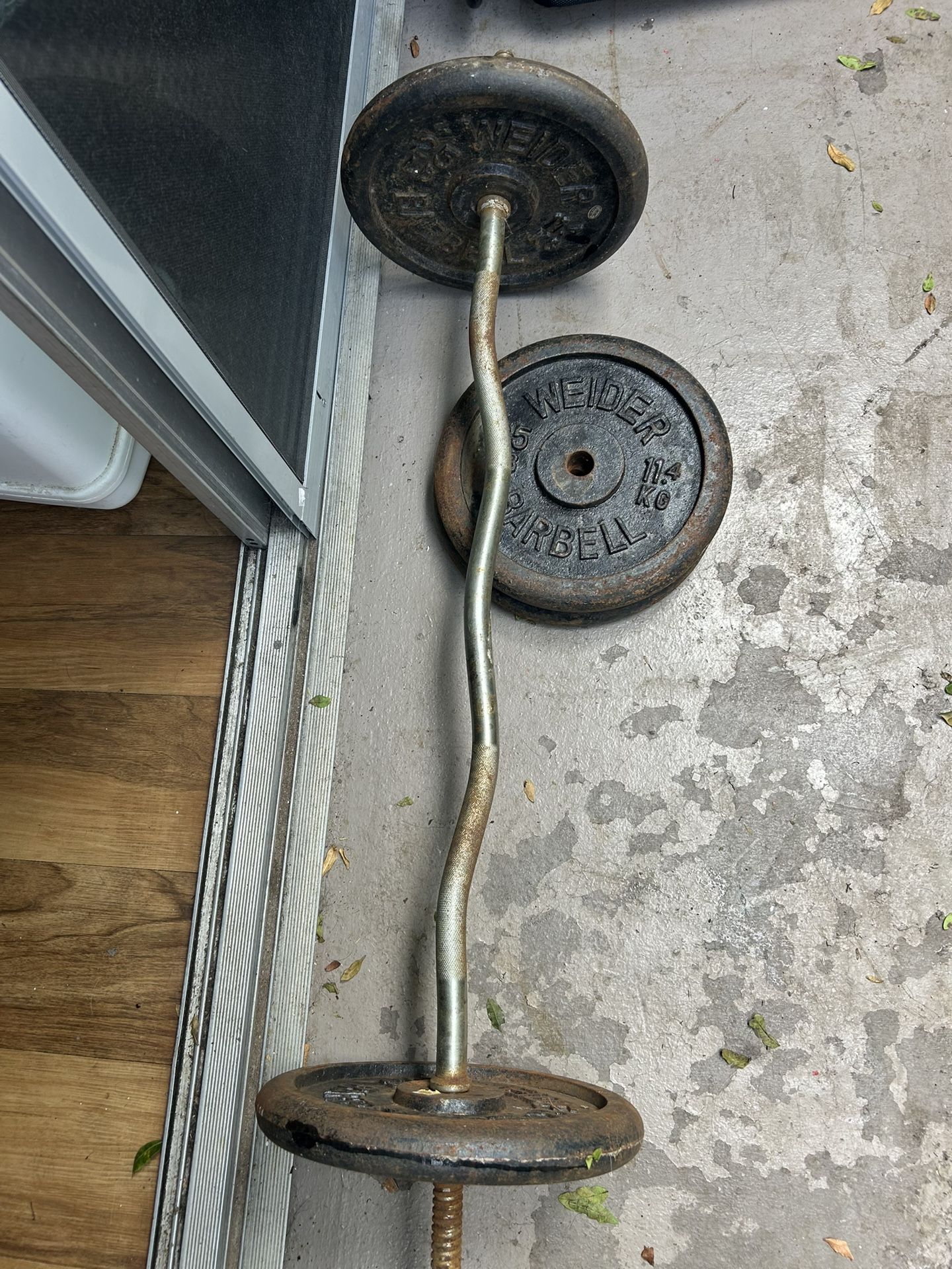 Curl Bar With Weights 