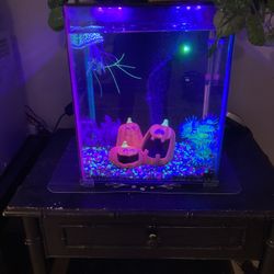 8 Gallon Aquarium With 7 LED Lights 