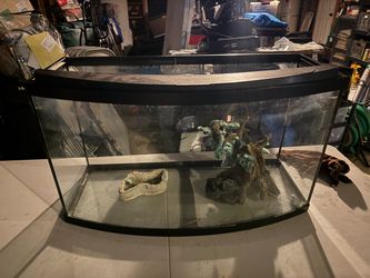Large Bow Front Glass Aquarium / Fish Tank w/ Decor