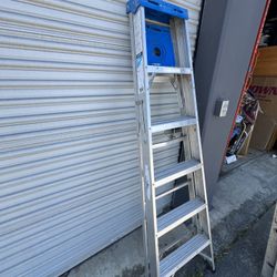 Werner 6’ Aluminum Ladder
