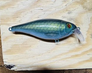Custom Painted Shallow Diving Twitch Bait