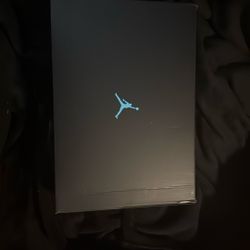 AIR JORDAN 11 Retro GAMMA