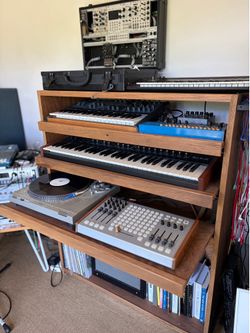 Custom Synth Cabinet - Reclaimed Walnut