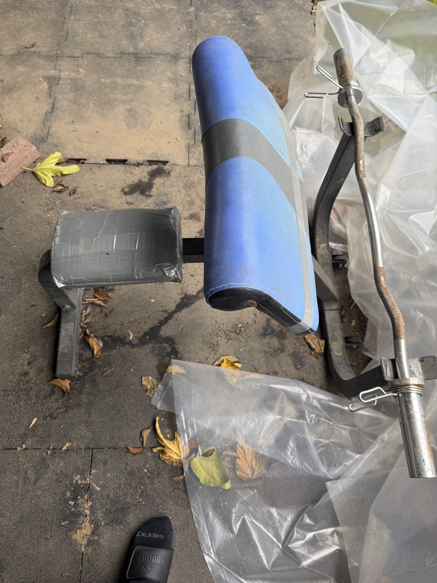 Preacher Curl Bench (Old School)