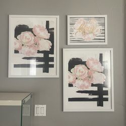 Framed Art 