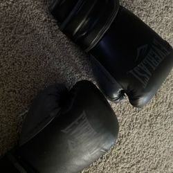 Everlast 14oz Powerlock Boxing Gloves
