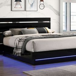 Queen Bed No Mattress