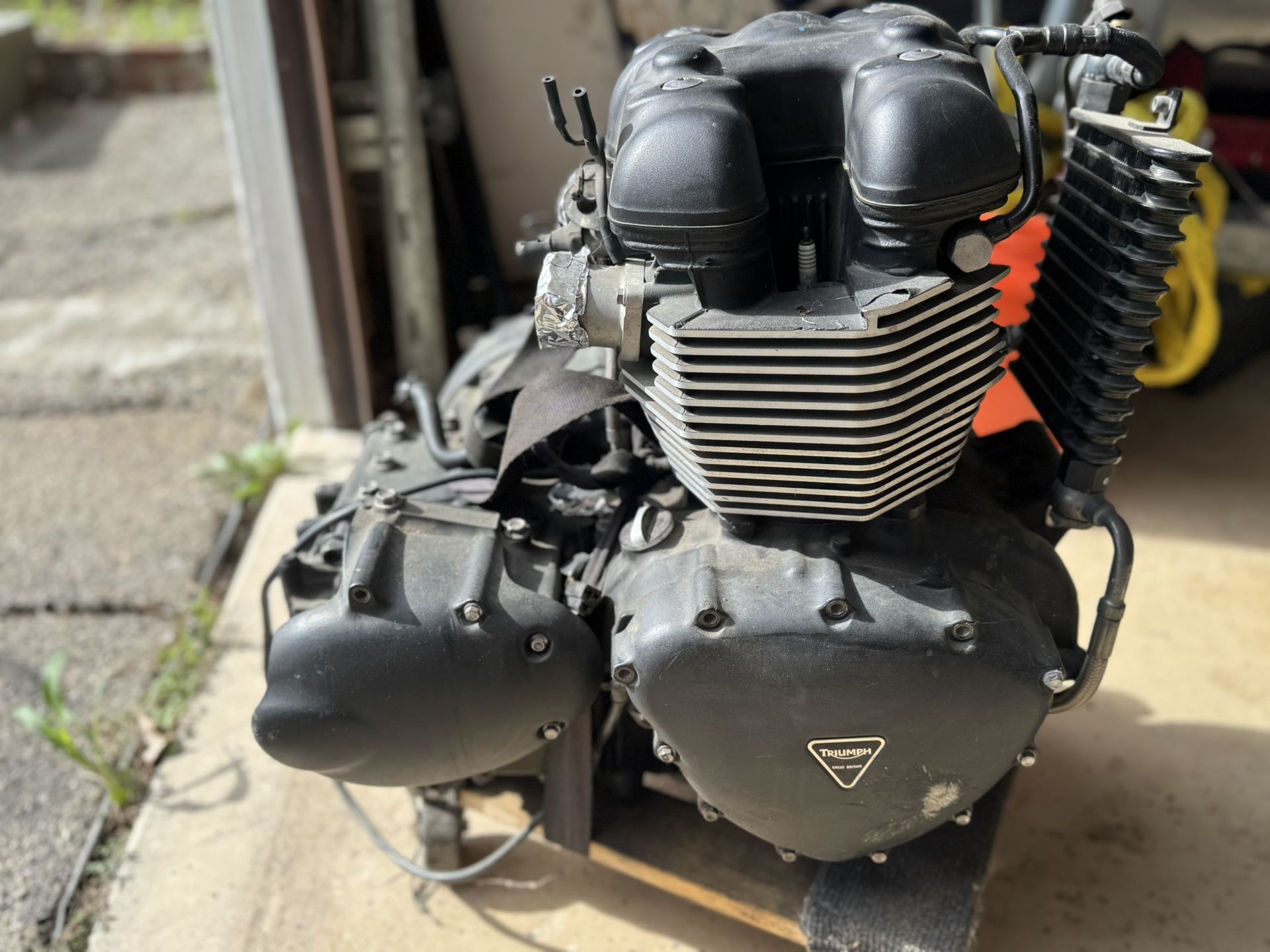 2014 Triumph Bonneville