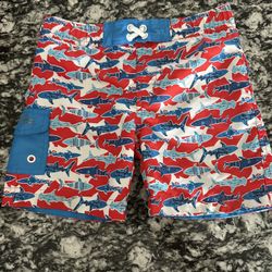 TODDLER SWIM TRUNKS (SIZE 2T)- $5