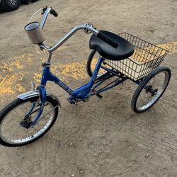 Miami Sun Tricycle