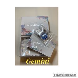 Sterling Silver Horoscope Zodiac Pendant 12 Constellation Necklace Jewelry Gifts for Women Girls Birthday *Gemini