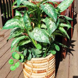 47" Tall. Genuine Faux Plants  #1