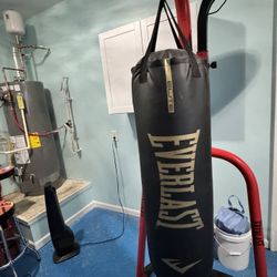 Everlast Elite Heavy Bag w/Dual Station Stand