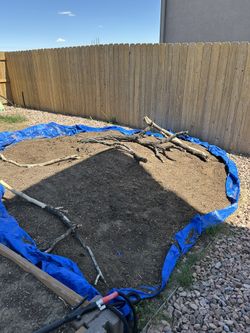 Garden Bed Soil