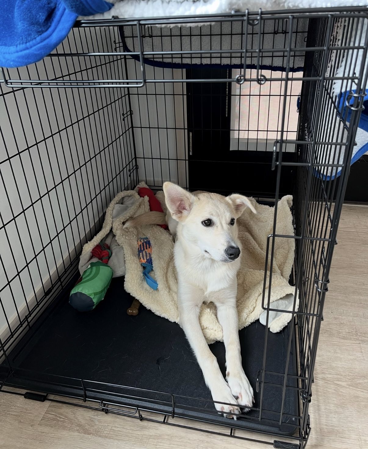 Medium to Large Dog Crate 42"