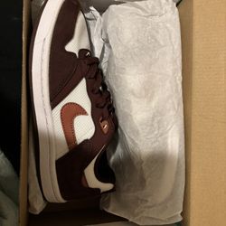 Nike Sb Shoes 