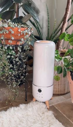 Humidificador De Avitasion