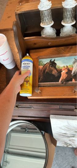 Horse coat hook picture