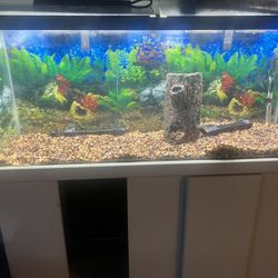 Fish Tank 55 Gal With Stand 