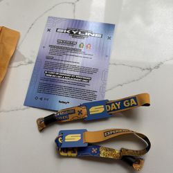 SKYLINE FESTIVAL 2-DAY GA 2026 (x2)