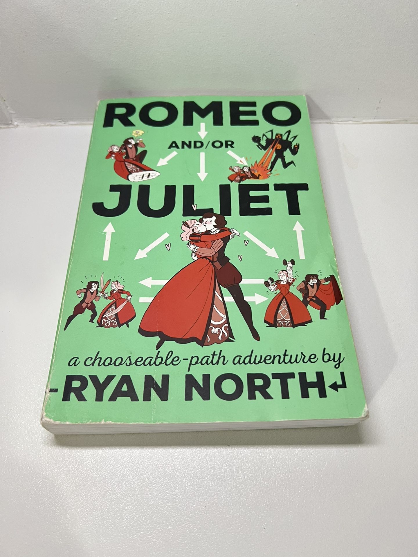 ROMEO AND/OR JULIET -RYAN NORTH Book