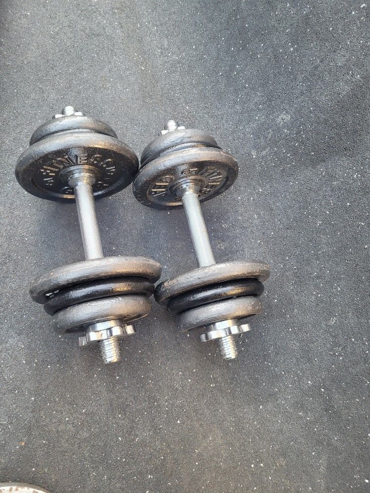 25lbs Dumbells Weights