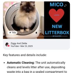 Self Cleaning Litter Box