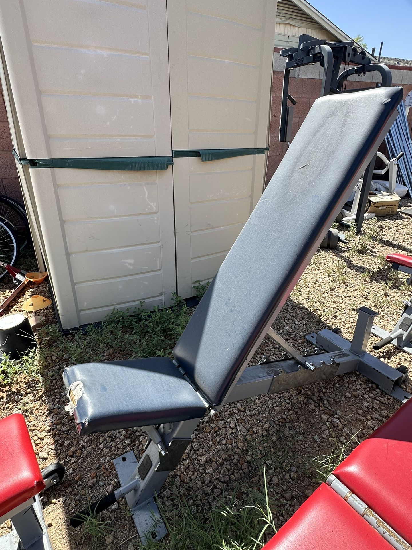 Commercial Adjustable Weight Bench