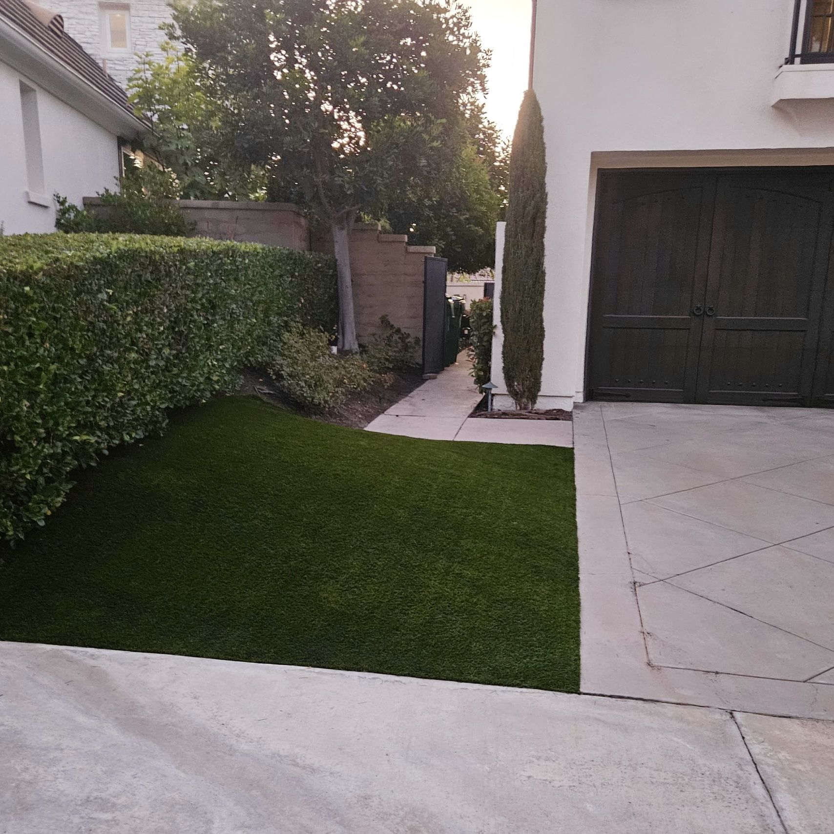 Artificial Turf