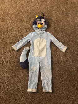 Bluey costume