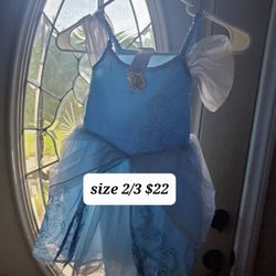 Disney Store Princess Dresses