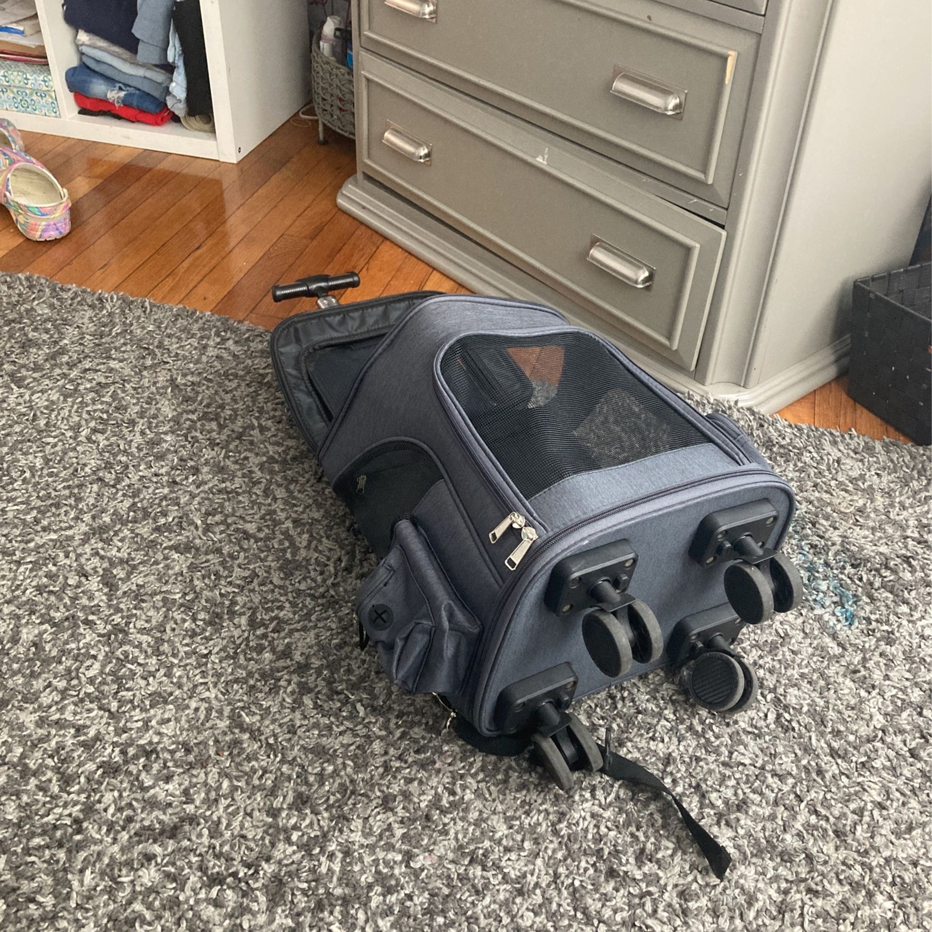Pet Carrier/ Book Bag 