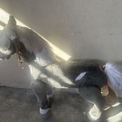 Riding Pony For Kids