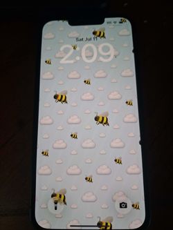 iPhone 13 iPhone 13