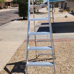 Louisville Platform Ladder 