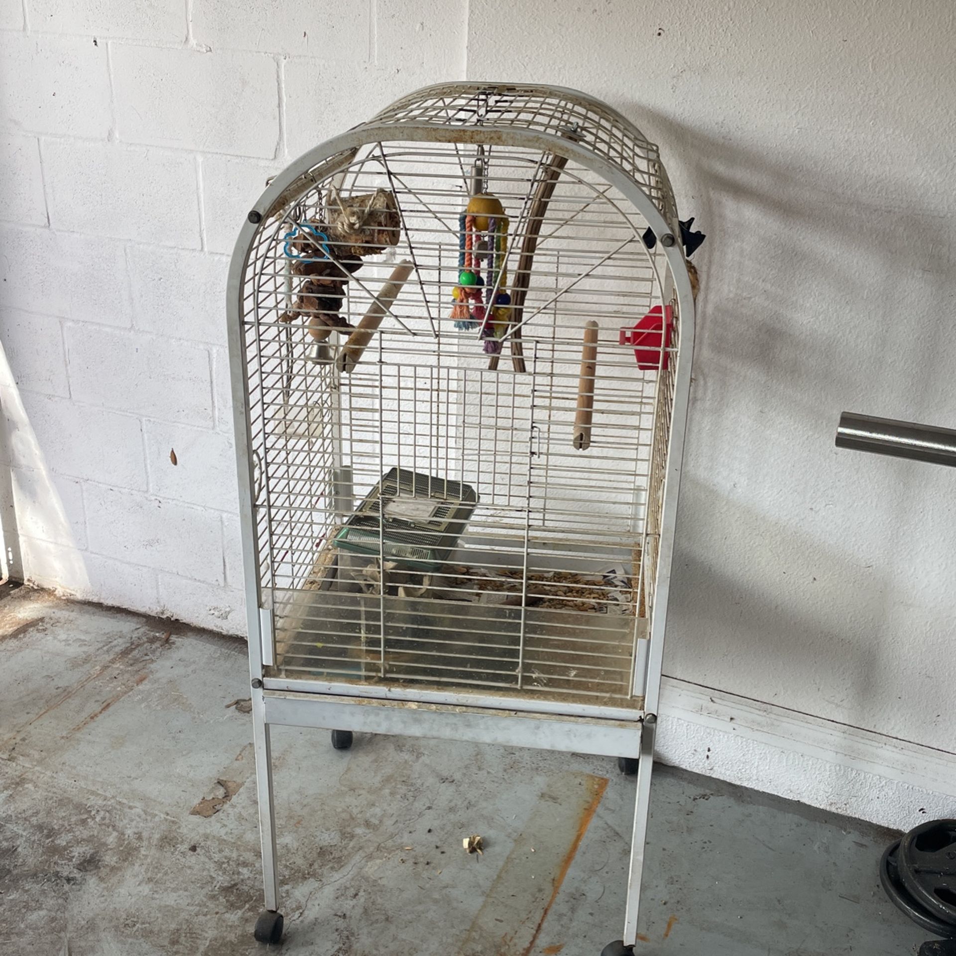 Bird Cage