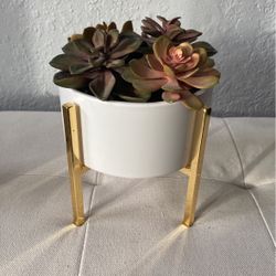 Faux Succulent Plant 