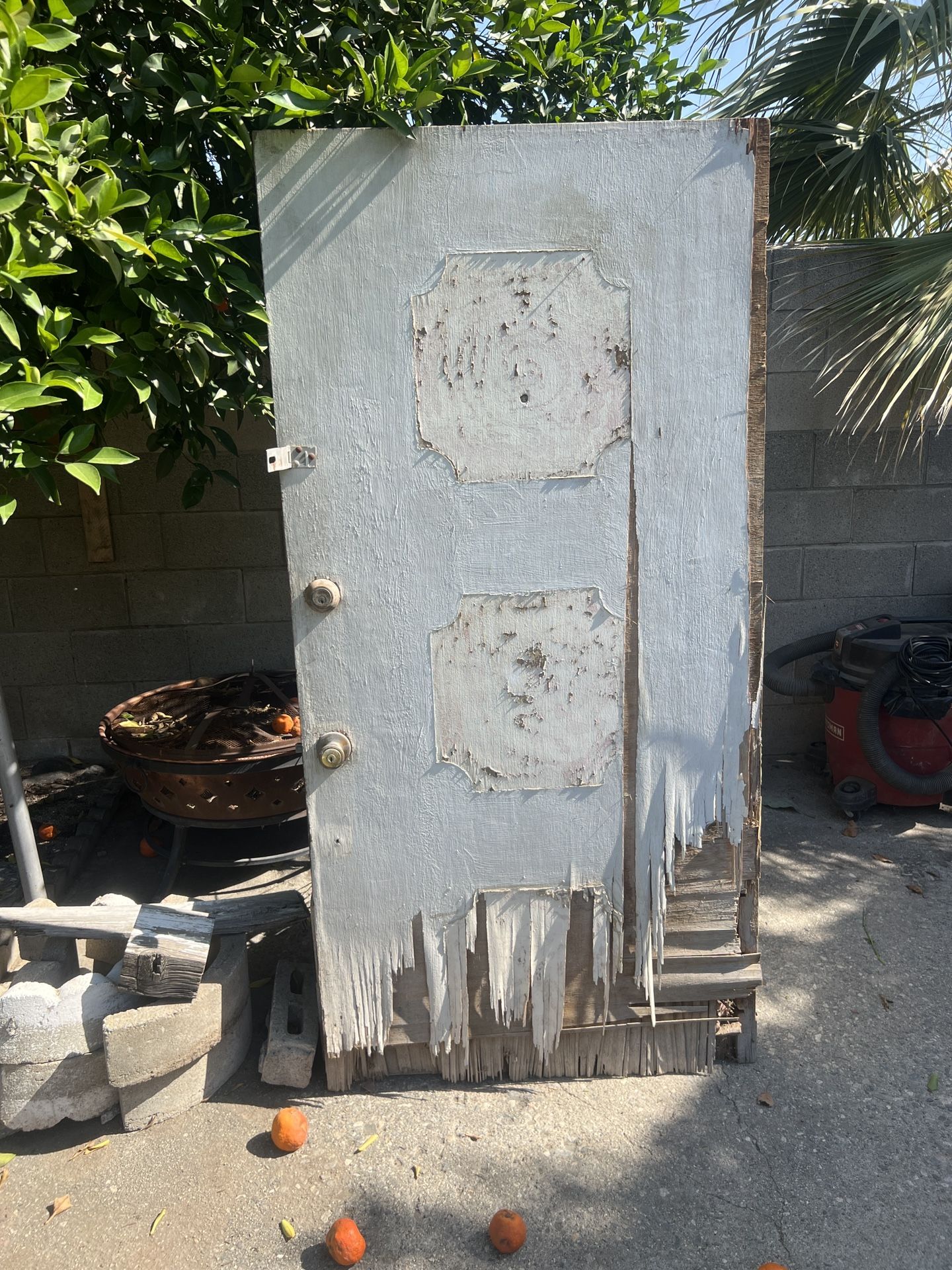 FREE DOOR